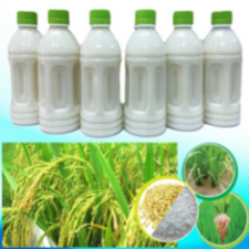 The process of rice milk production