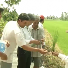 Training on using of Organic Fertilizer and Soil Management for farmer